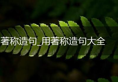 著称造句_用著称造句大全