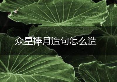 众星捧月造句怎么造