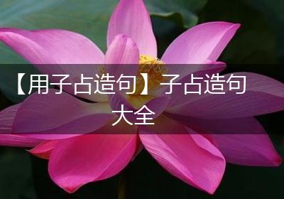 【用子占造句】子占造句大全