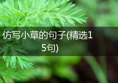 仿写小草的句子(精选15句)