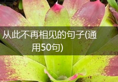 从此不再相见的句子(通用50句)