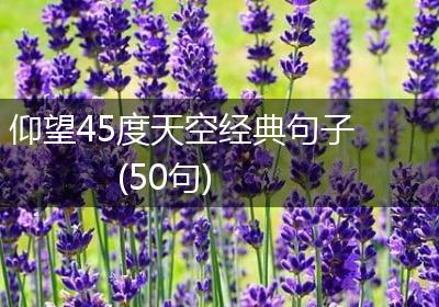 仰望45度天空经典句子(50句)