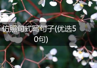 仿照句式写句子(优选50句)