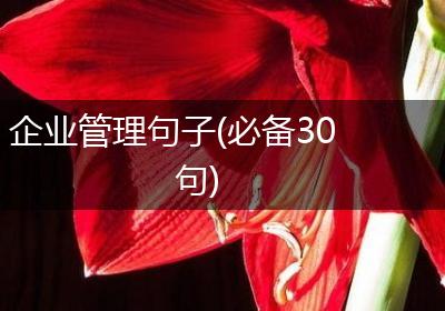企业管理句子(必备30句)