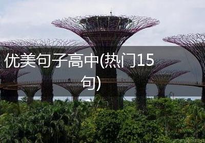 优美句子高中(热门15句)