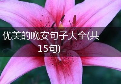 优美的晚安句子大全(共15句)