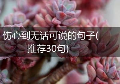 伤心到无话可说的句子(推荐30句)