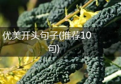 优美开头句子(推荐10句)