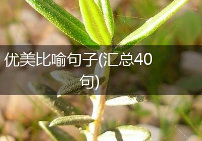 优美比喻句子(汇总40句)