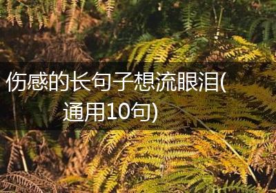 伤感的长句子想流眼泪(通用10句)