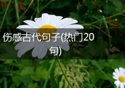 伤感古代句子(热门20句)