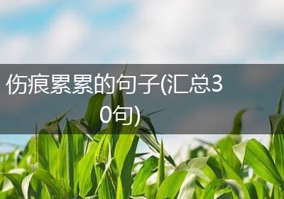 伤痕累累的句子(汇总30句)