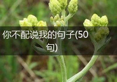 你不配说我的句子(50句)