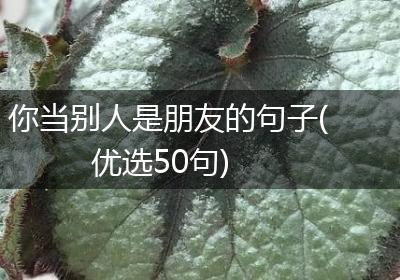 你当别人是朋友的句子(优选50句)