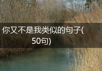 你又不是我类似的句子(50句)