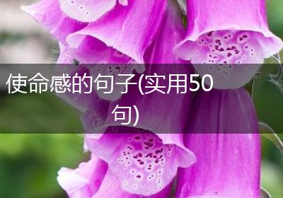 使命感的句子(实用50句)