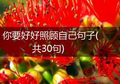 你要好好照顾自己句子(共30句)