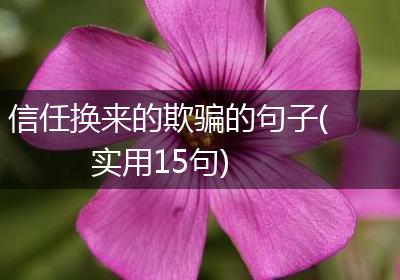 信任换来的欺骗的句子(实用15句)