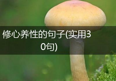 修心养性的句子(实用30句)