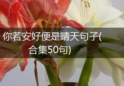 你若安好便是晴天句子(合集50句)