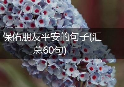保佑朋友平安的句子(汇总60句)