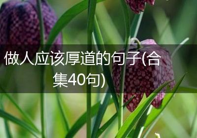 做人应该厚道的句子(合集40句)