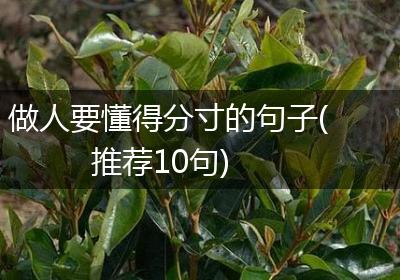 做人要懂得分寸的句子(推荐10句)