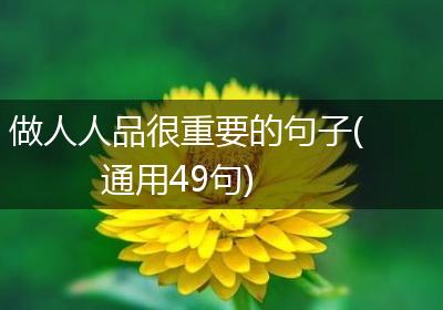 做人人品很重要的句子(通用49句)