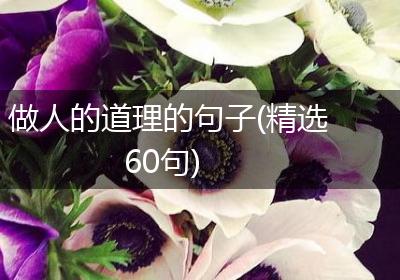 做人的道理的句子(精选60句)