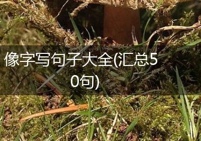 像字写句子大全(汇总50句)