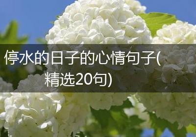 停水的日子的心情句子(精选20句)