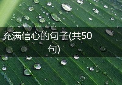 充满信心的句子(共50句)