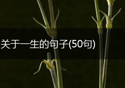 关于一生的句子(50句)