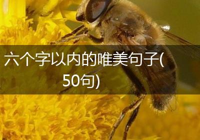 六个字以内的唯美句子(50句)