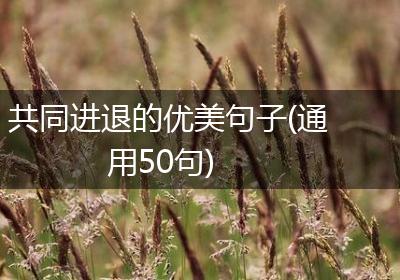 共同进退的优美句子(通用50句)