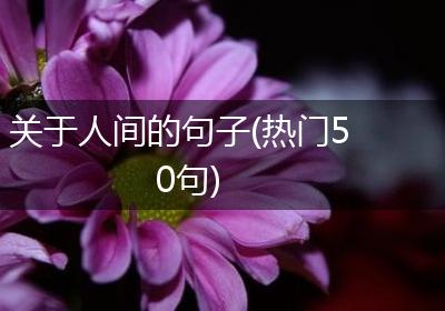 关于人间的句子(热门50句)