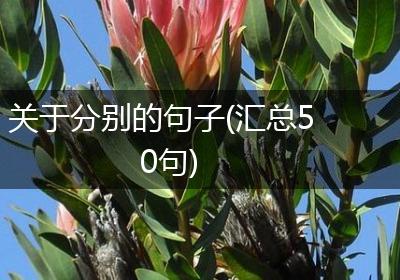 关于分别的句子(汇总50句)