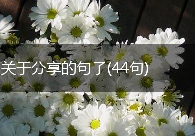 关于分享的句子(44句)