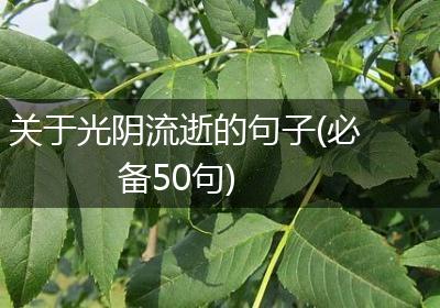 关于光阴流逝的句子(必备50句)