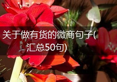 关于做有货的微商句子(汇总50句)