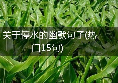 关于停水的幽默句子(热门15句)
