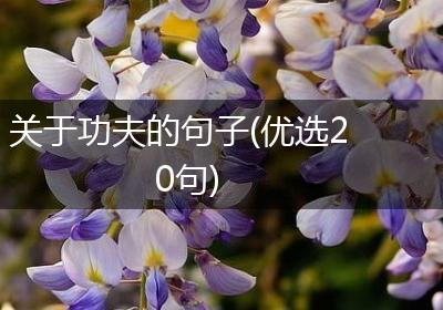 关于功夫的句子(优选20句)
