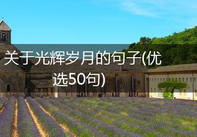 关于光辉岁月的句子(优选50句)