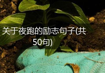 关于夜跑的励志句子(共50句)