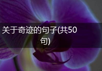 关于奇迹的句子(共50句)