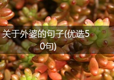 关于外婆的句子(优选50句)