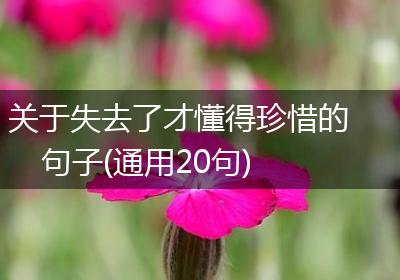 关于失去了才懂得珍惜的句子(通用20句)