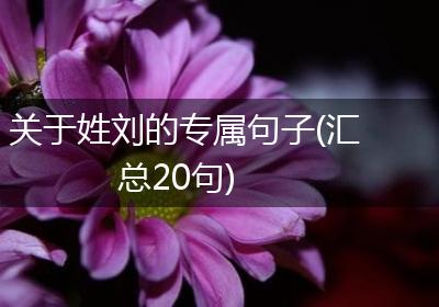 关于姓刘的专属句子(汇总20句)