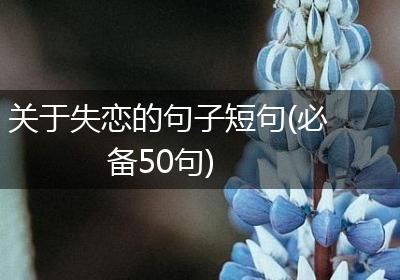 关于失恋的句子短句(必备50句)