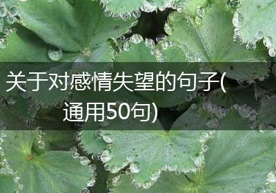 关于对感情失望的句子(通用50句)